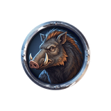 Boar