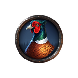 Pheasant