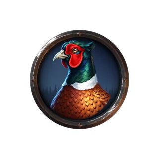 Pheasant